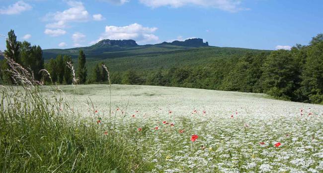 Sasso Simone e Simoncello panorama