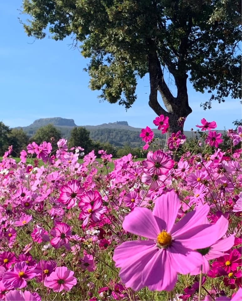 Veduta Sasso Simone e Simoncello primavera